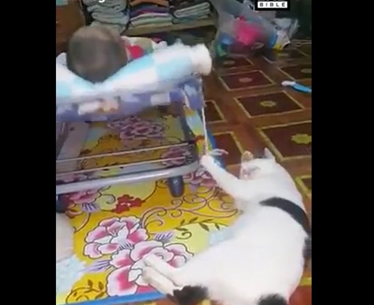 The great babysitter: This cat has surely nailed multitasking
