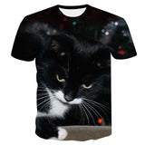 2021 Fashion New Cool T-shirt women3D T-shirt Print Cat Short Sleeve   Tees Female T-Shirt Oversize Y2K Clothes