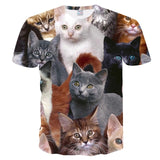 2021 Fashion New Cool T-shirt women3D T-shirt Print Cat Short Sleeve   Tees Female T-Shirt Oversize Y2K Clothes